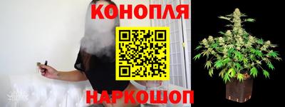 гидра Лесосибирск