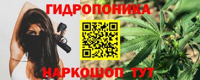 гидра Лесосибирск